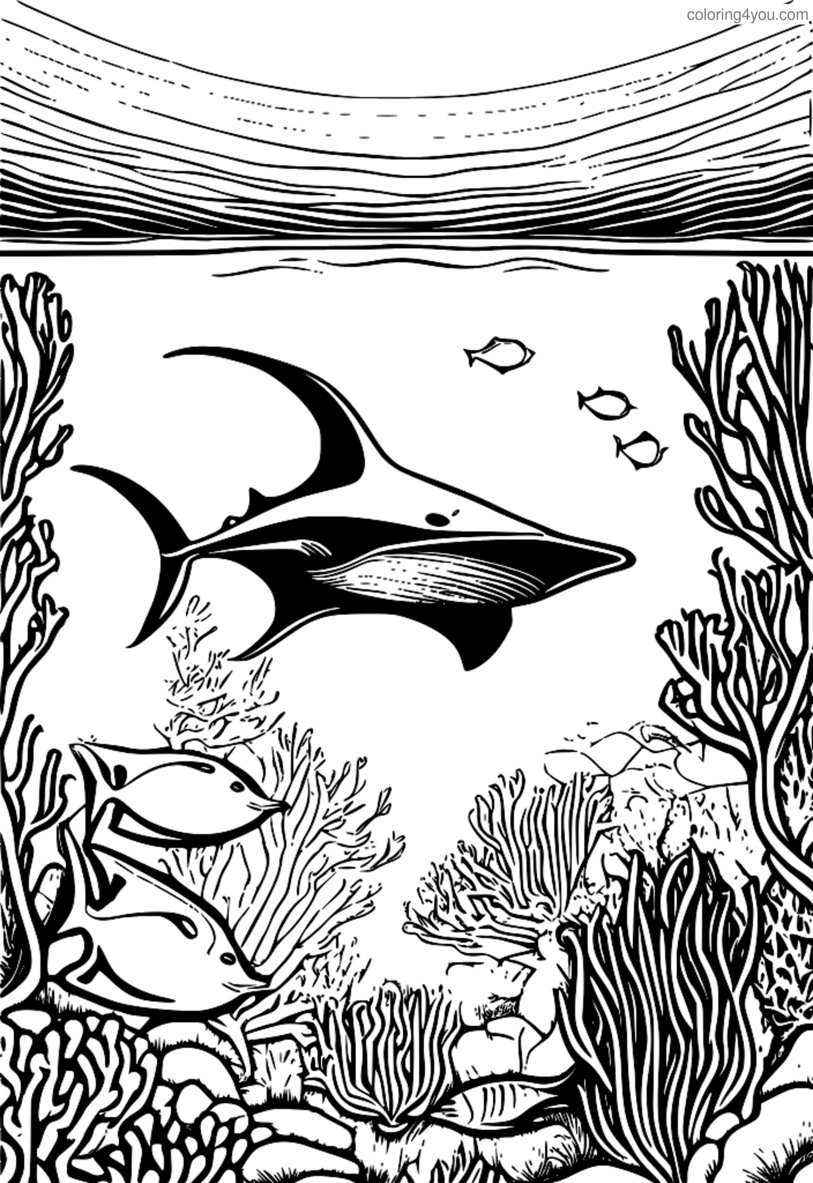 Coral Reef Coloring Page na may Manta Ray at Isda Coral Reef Coloring Page na may Manta Ray at Isda