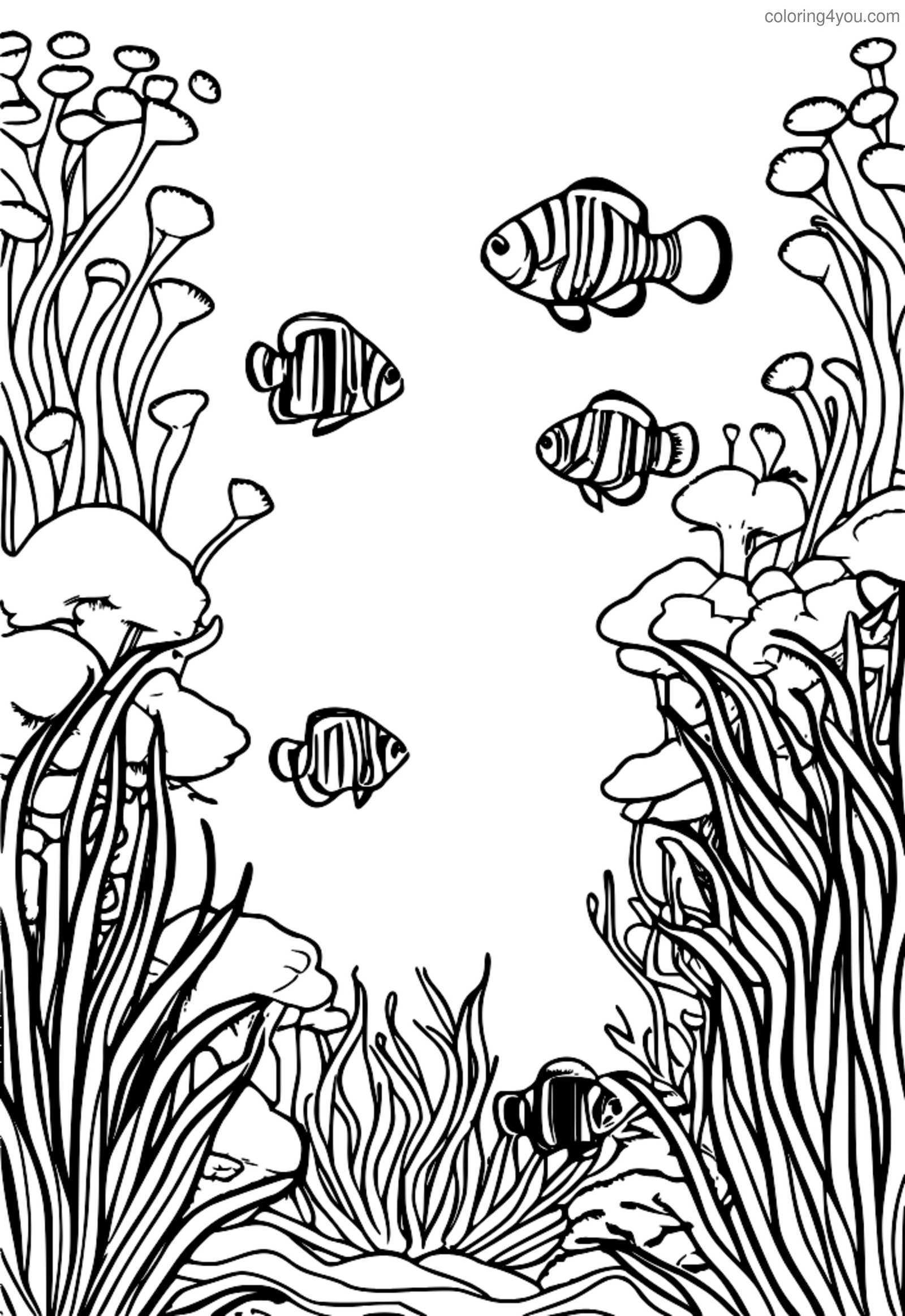 Stseeni illustratsioon klounkalade rühmast, kes magab värvilise anemooni sees Stseeni illustratsioon klounkalade rühmast, kes magab värvilise anemooni sees