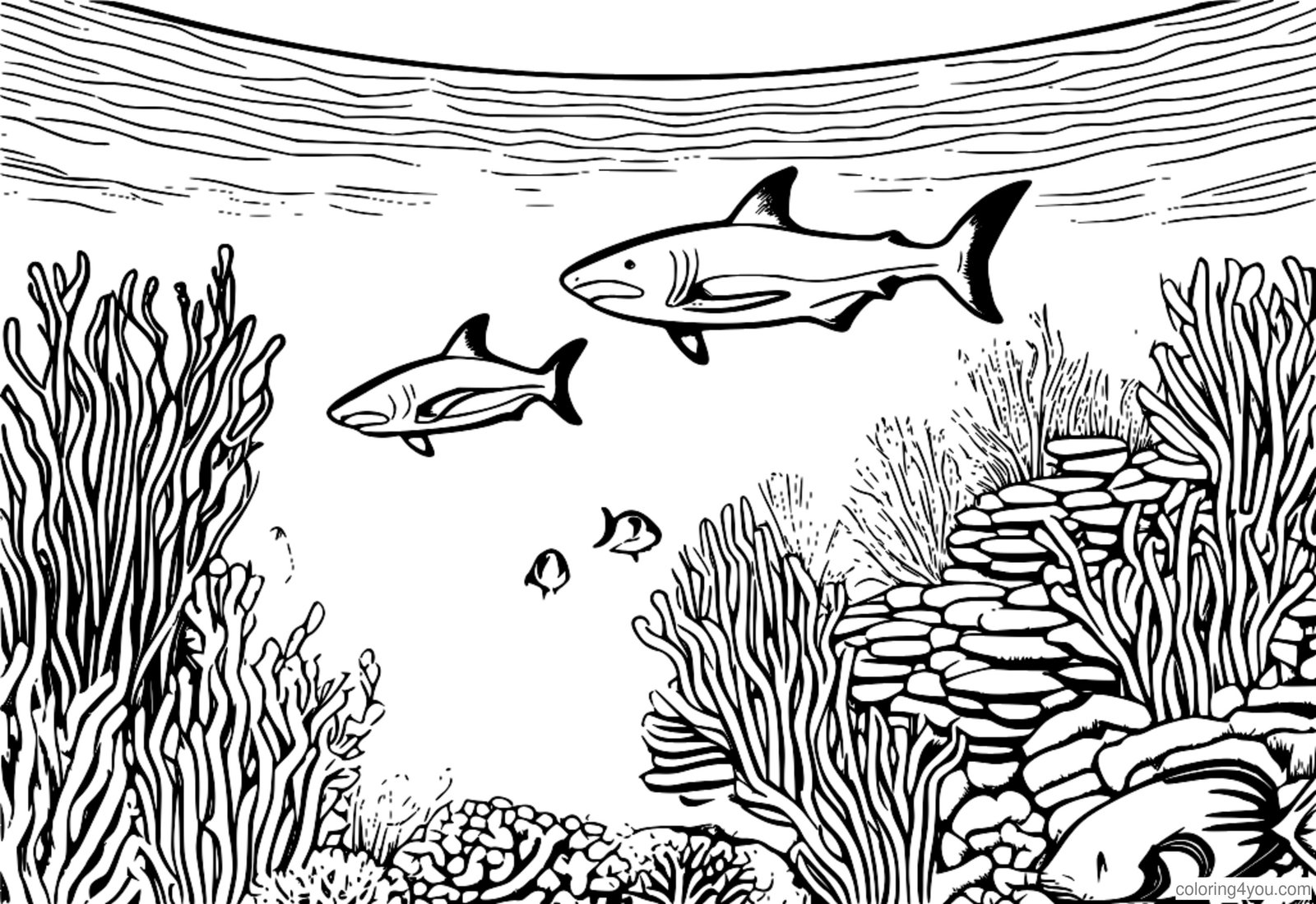 Pangkulay na pahina ng isang hipon na dinaig ang isang pating sa isang coral reef Pangkulay na pahina ng isang hipon na dinaig ang isang pating sa isang coral reef