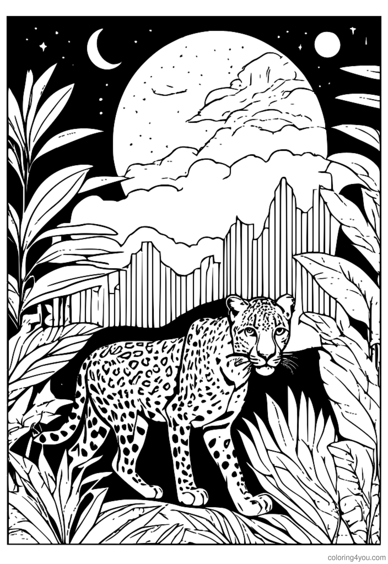 Leopard pirscht nachts durch den Dschungel Leopard pirscht nachts durch den Dschungel