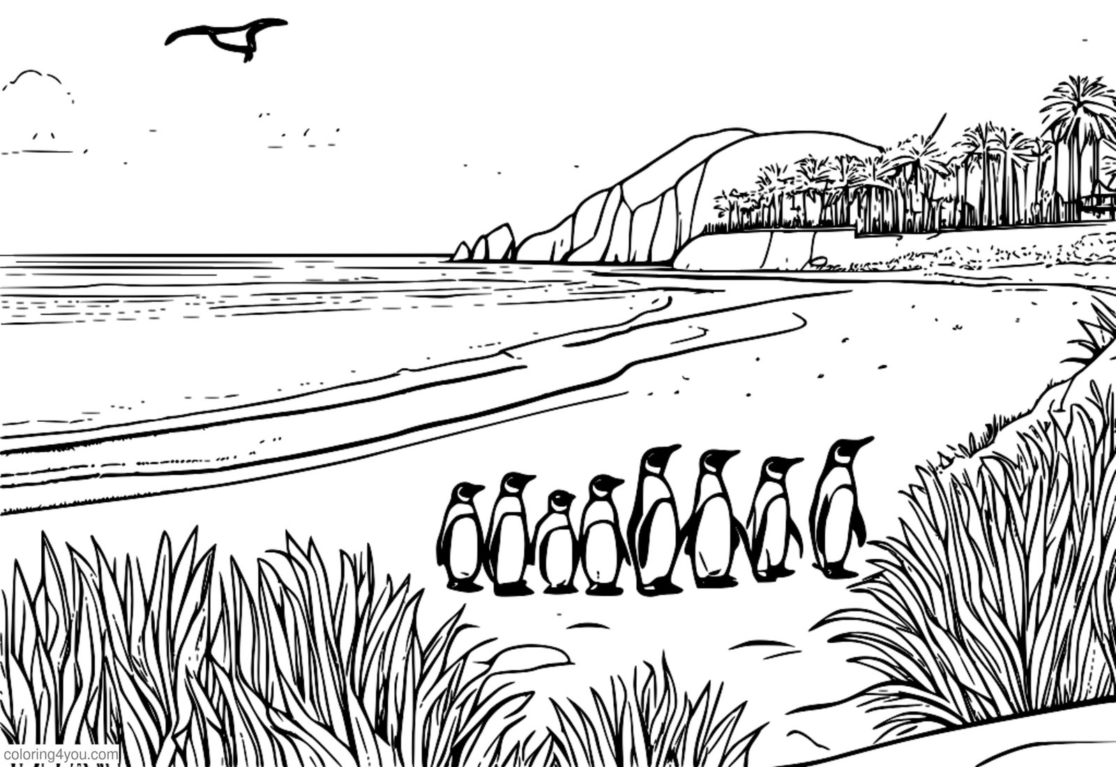 Parada ng mga penguin na nagmamartsa sa beach sa isang wildlife sanctuary. Parada ng mga penguin na nagmamartsa sa beach sa isang wildlife sanctuary.