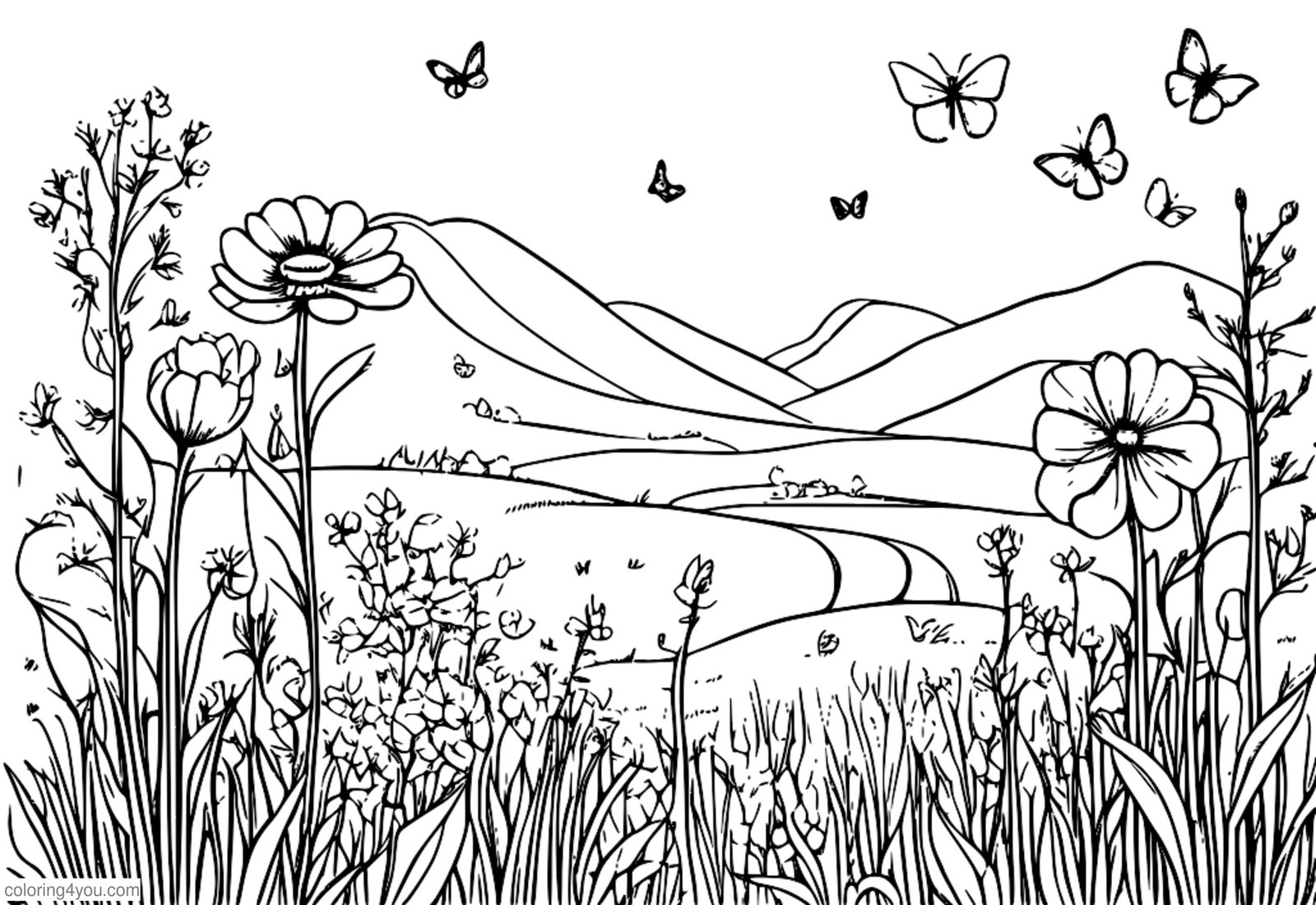 Smukke vilde blomster på en eng med et par sommerfugle Smukke vilde blomster på en eng med et par sommerfugle