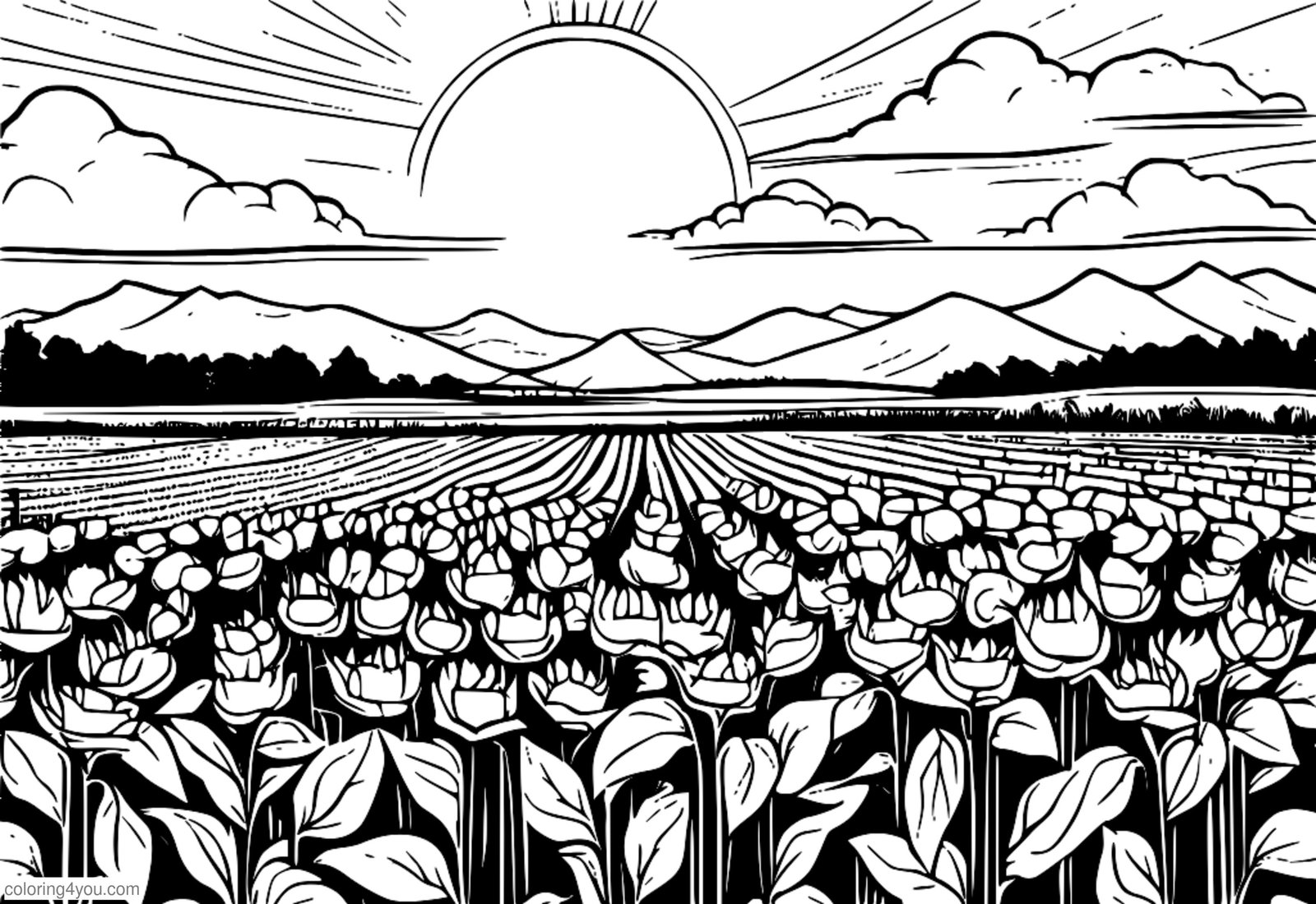 Un campo di girasoli con una giornata soleggiata e una leggera brezza che soffia sui petali. Un campo di girasoli con una giornata soleggiata e una leggera brezza che soffia sui petali.