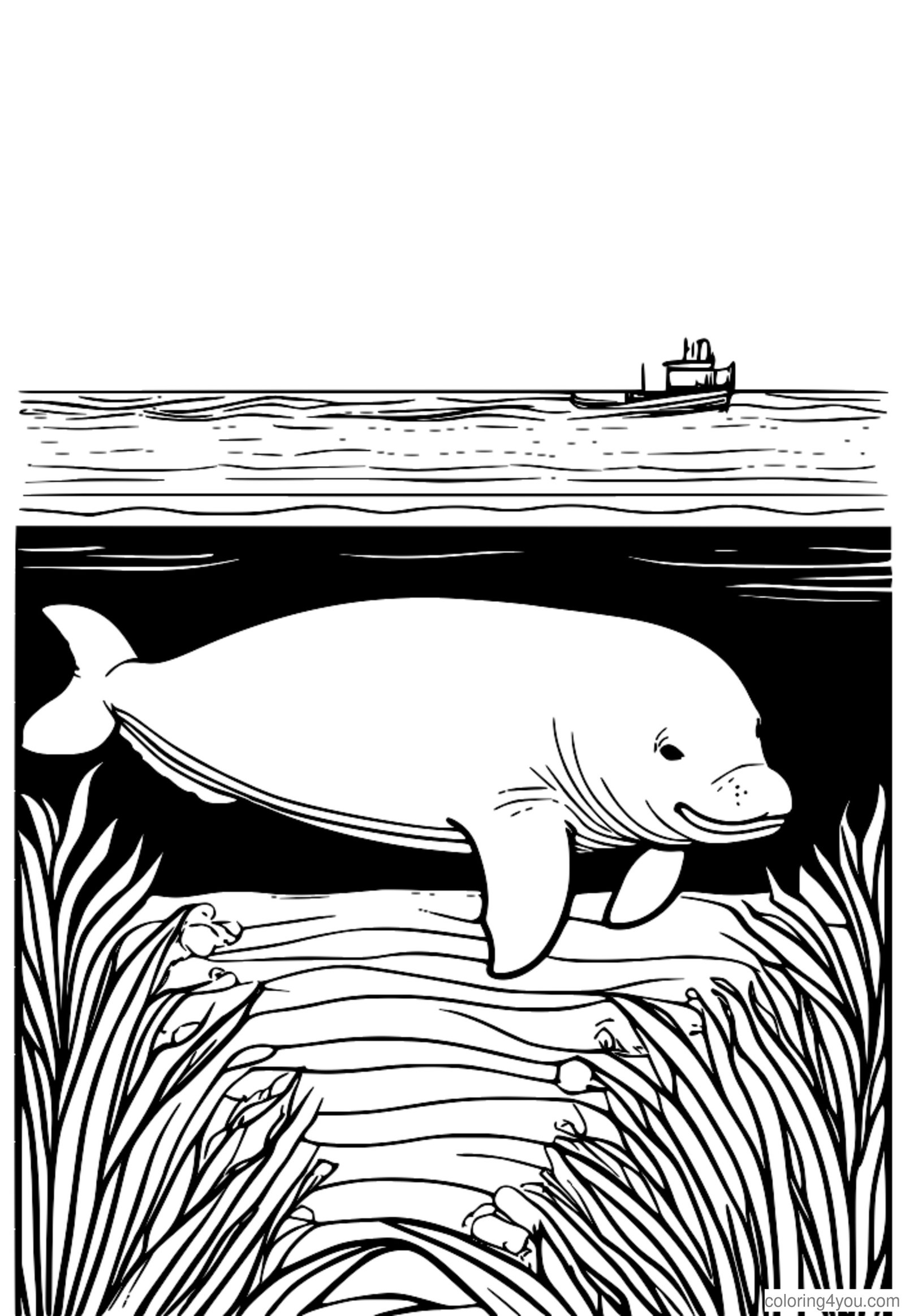 Dugong í sundi með skötusel Dugong í sundi með skötusel