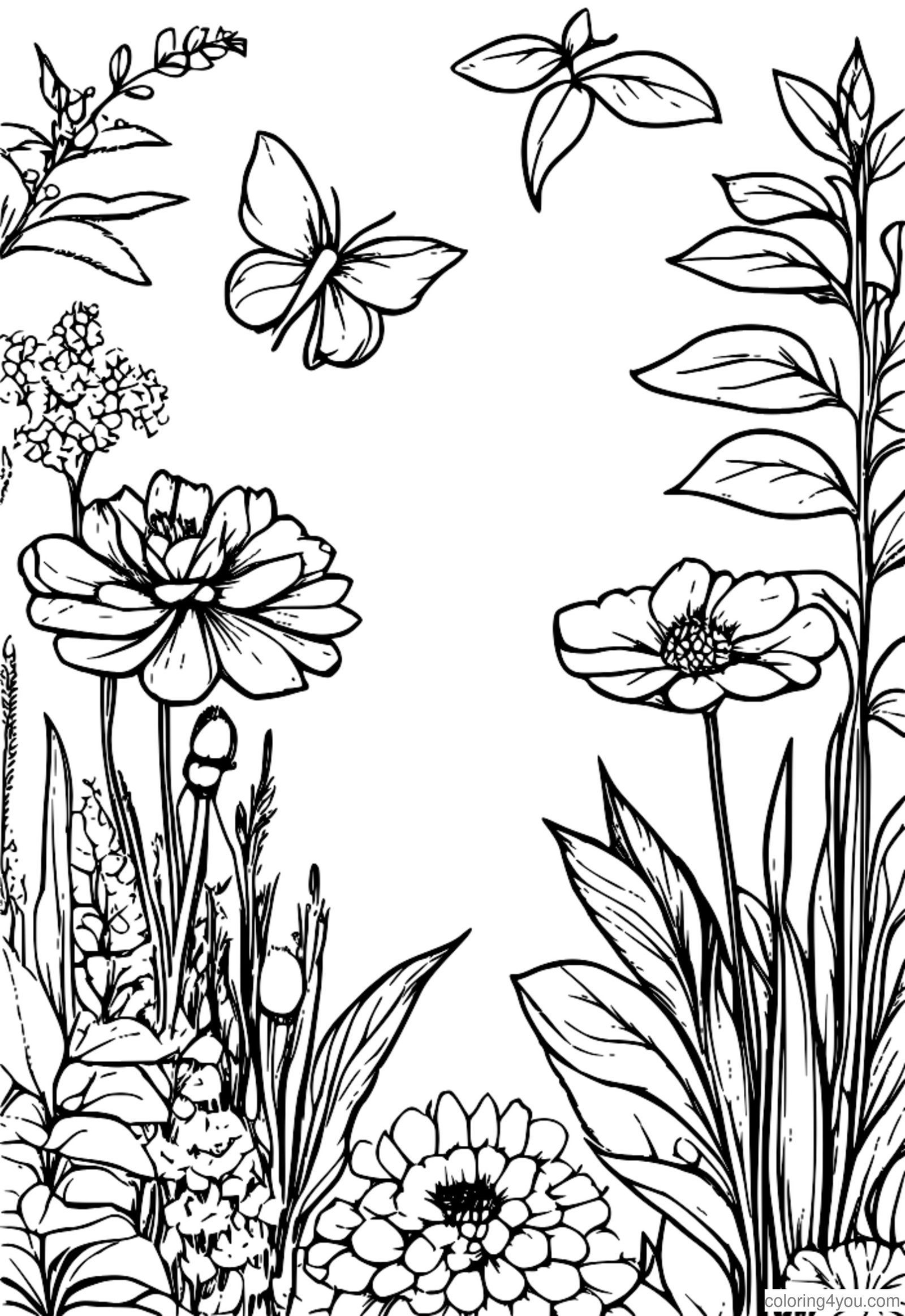 page de coloriage de jardin d'herbes aromatiques colorées avec des herbes colorées suspendues pour sécher. page de coloriage de jardin d'herbes aromatiques colorées avec des herbes colorées suspendues pour sécher.