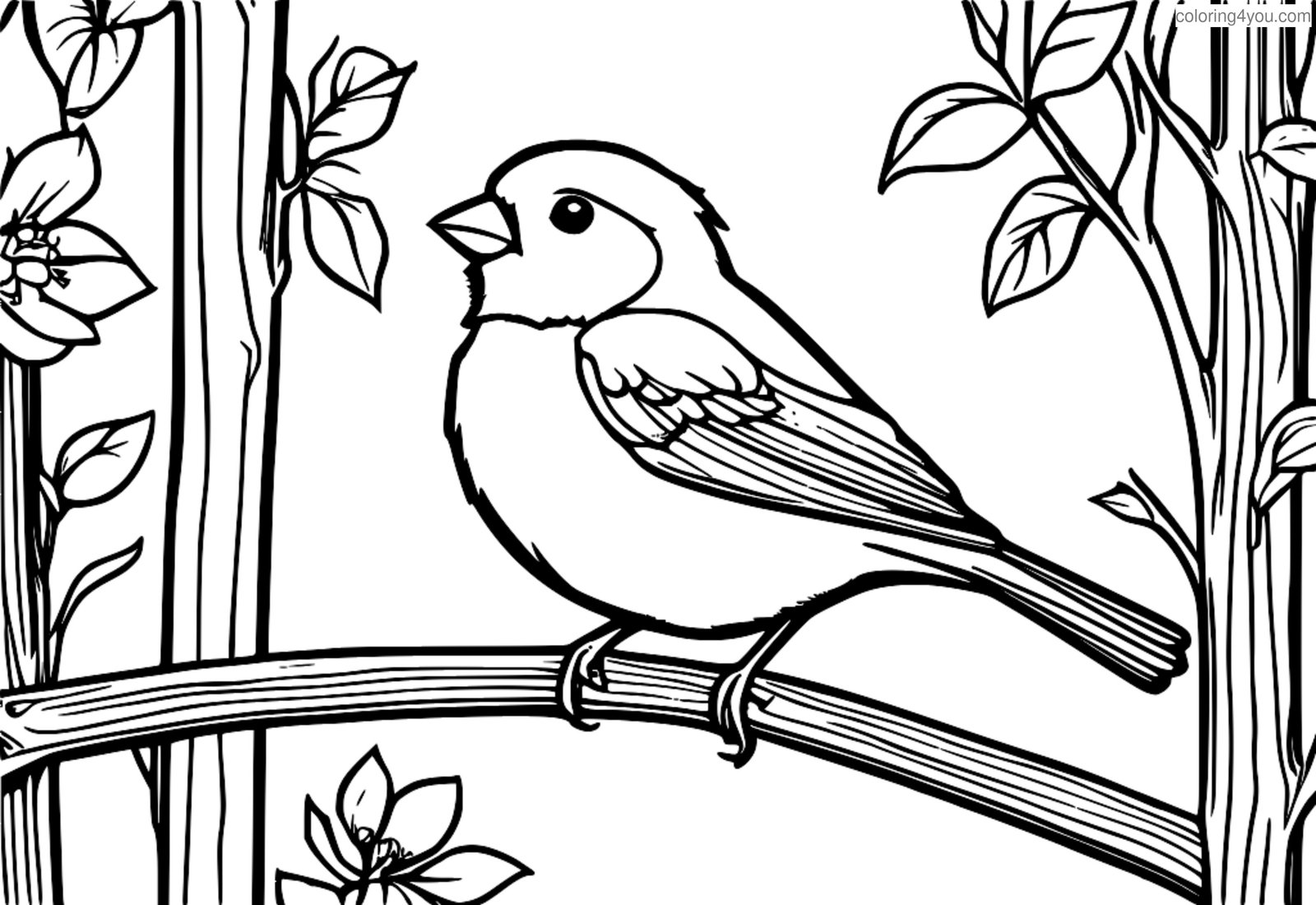 Canari perché sur une branche d'arbre Canari perché sur une branche d'arbre