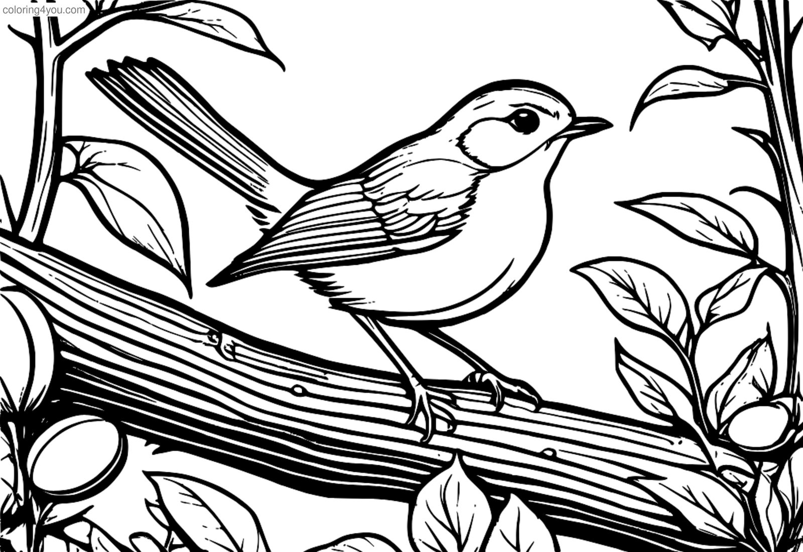 Robin building its nest in a bush with eggs and twigs nearby. Robin building its nest in a bush with eggs and twigs nearby.