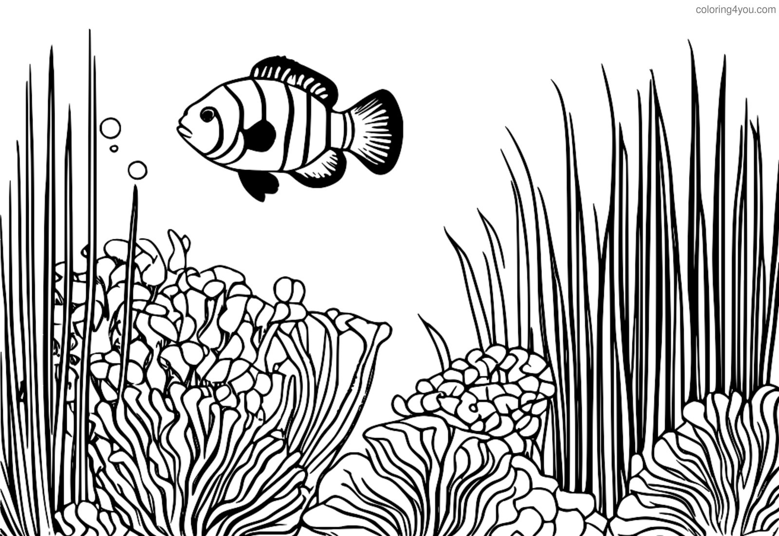 Një foto e një peshku klloun i fshehur mes tentakulave të një anemone deti. Një foto e një peshku klloun i fshehur mes tentakulave të një anemone deti.