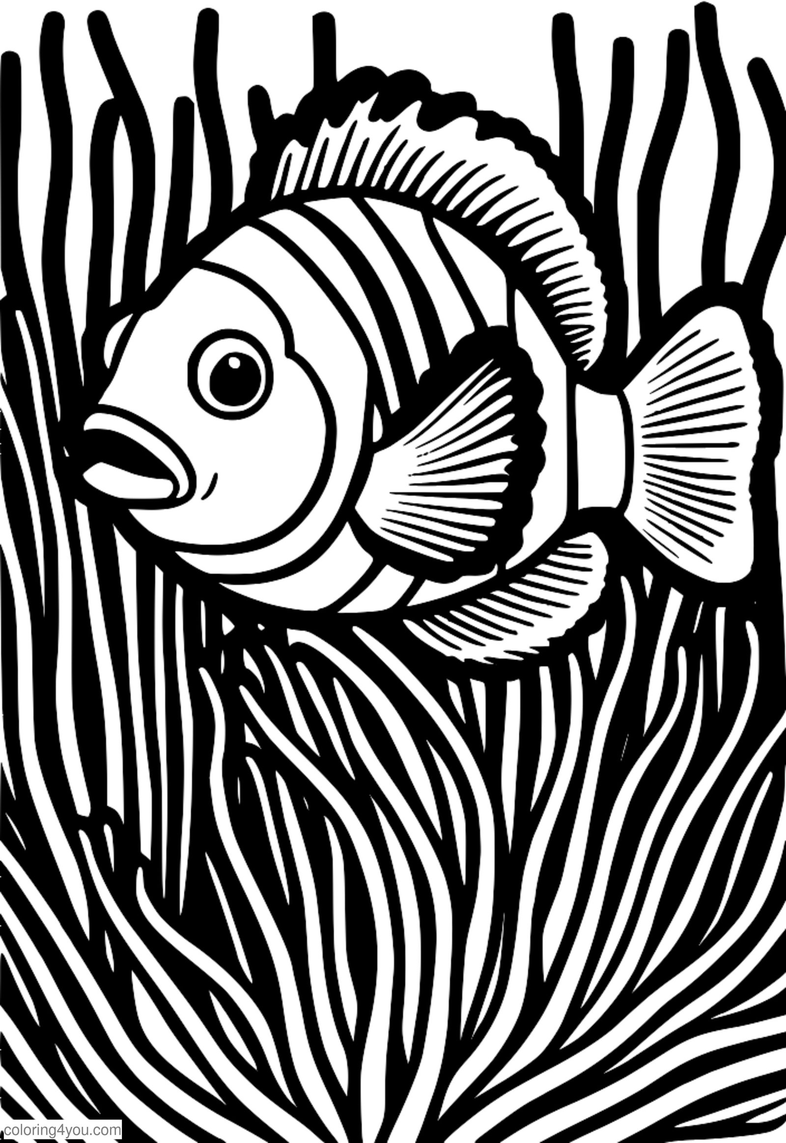 Ein Bild eines Clownfisches, der sich zwischen den Tentakeln einer Seeanemone versteckt. Ein Bild eines Clownfisches, der sich zwischen den Tentakeln einer Seeanemone versteckt.