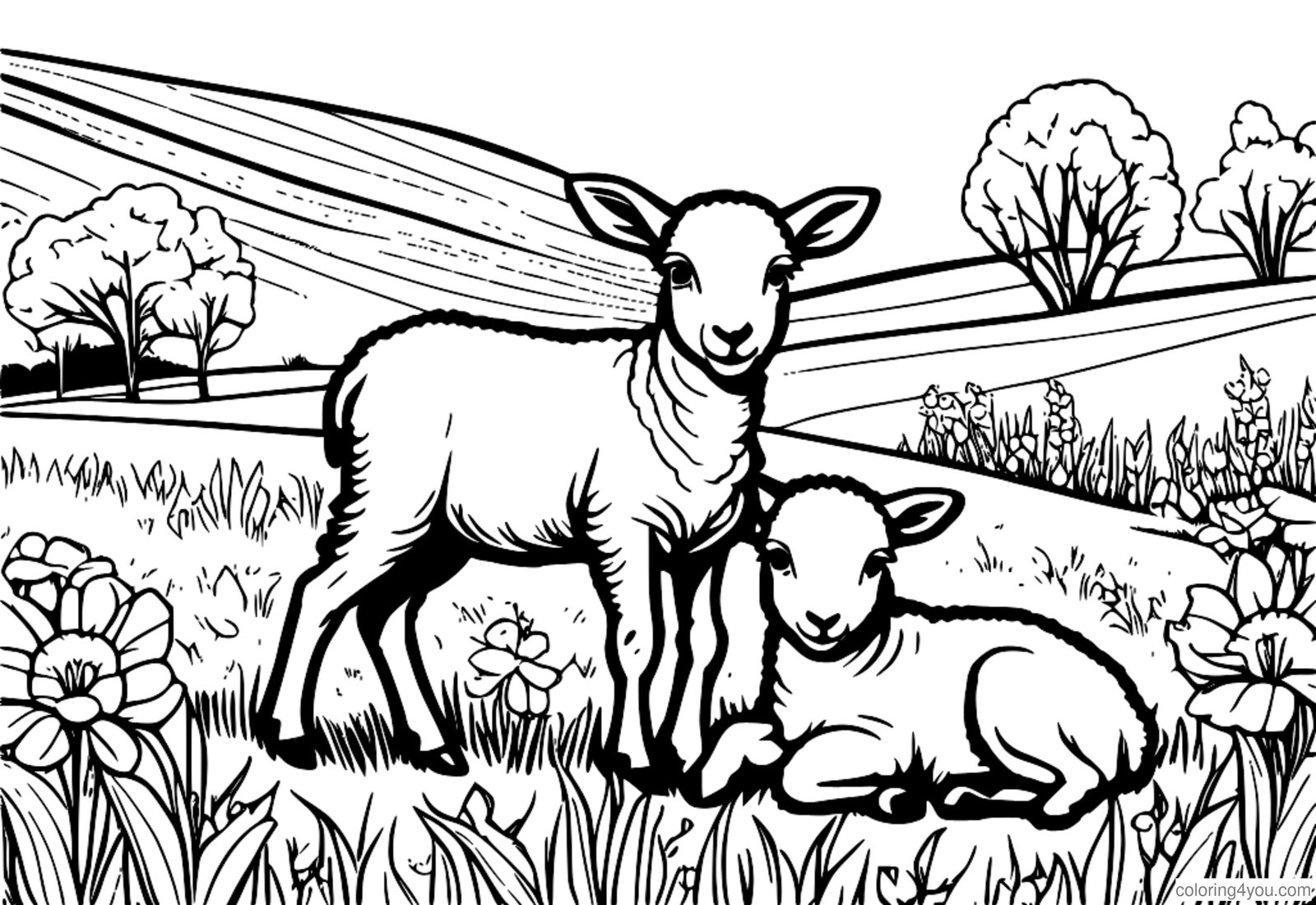 Baby lambs in a green meadow Baby lambs in a green meadow