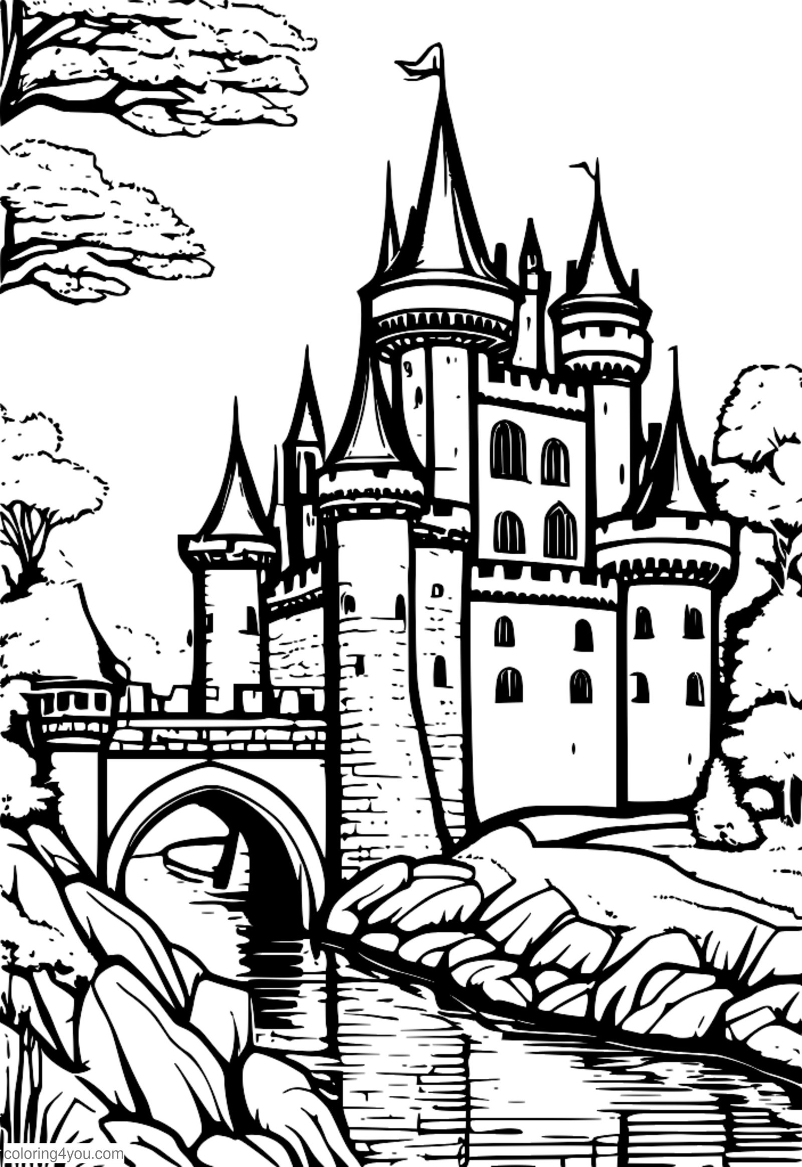Castel medieval cu șanț și turn de veghe Castel medieval cu șanț și turn de veghe