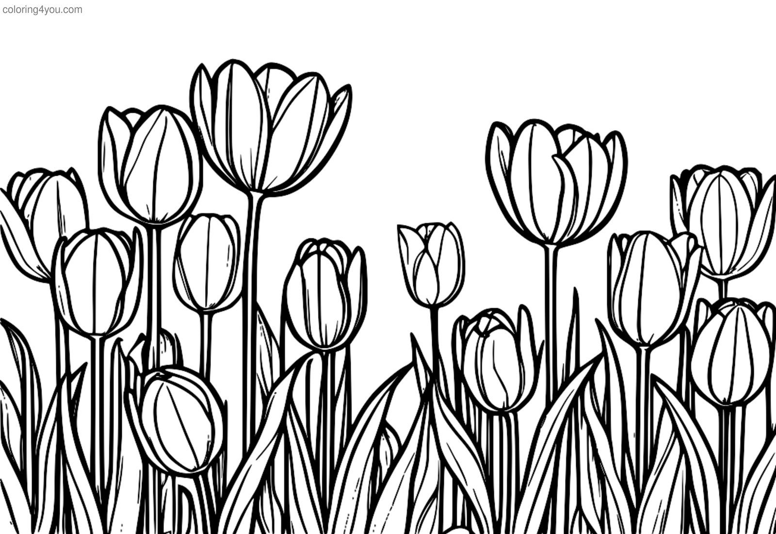 Tulipaner i haven på en solrig forårsdag Tulipaner i haven på en solrig forårsdag