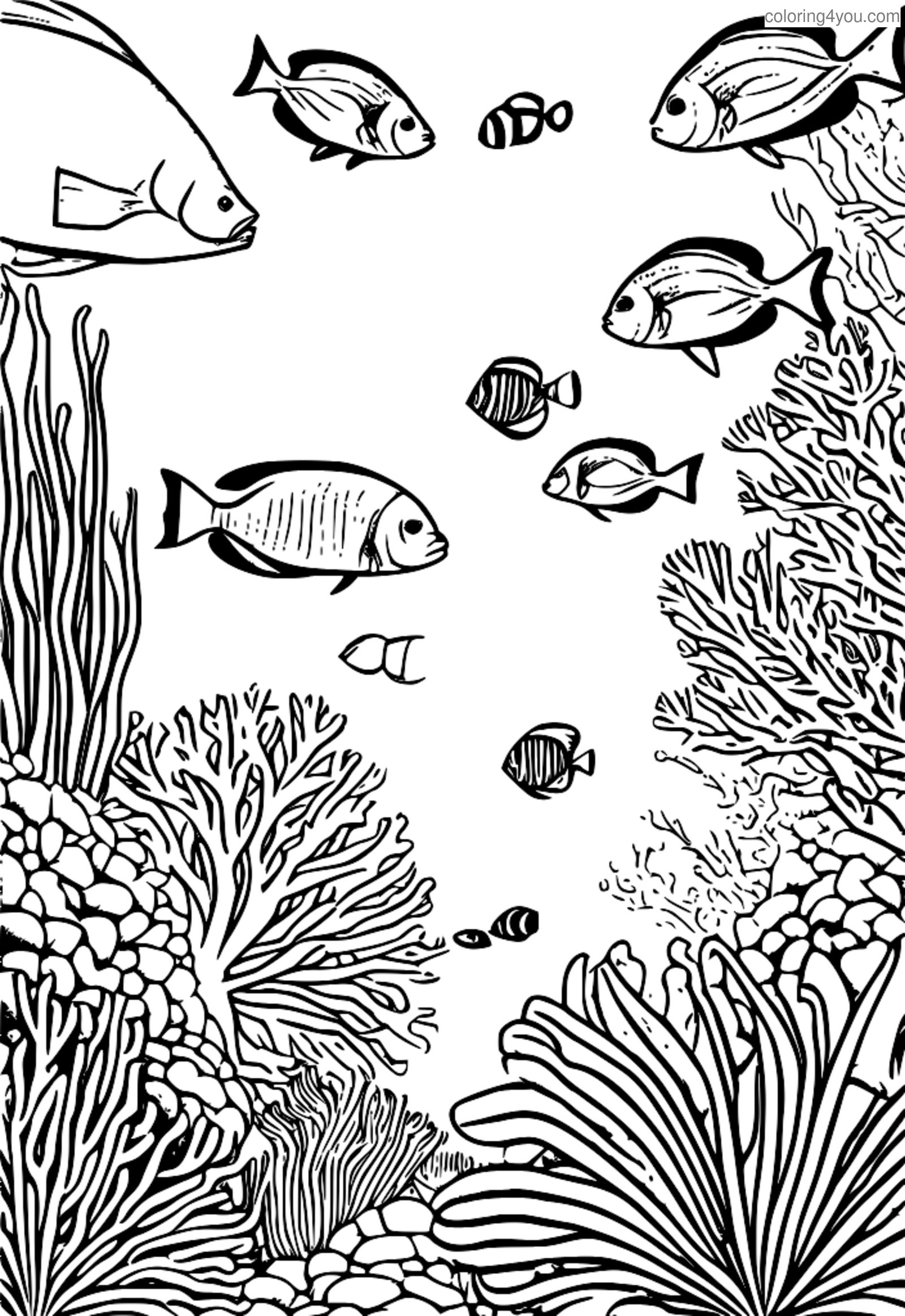 Kaca pewarnaan biodiversitas laut terumbu karang Kaca pewarnaan biodiversitas laut terumbu karang