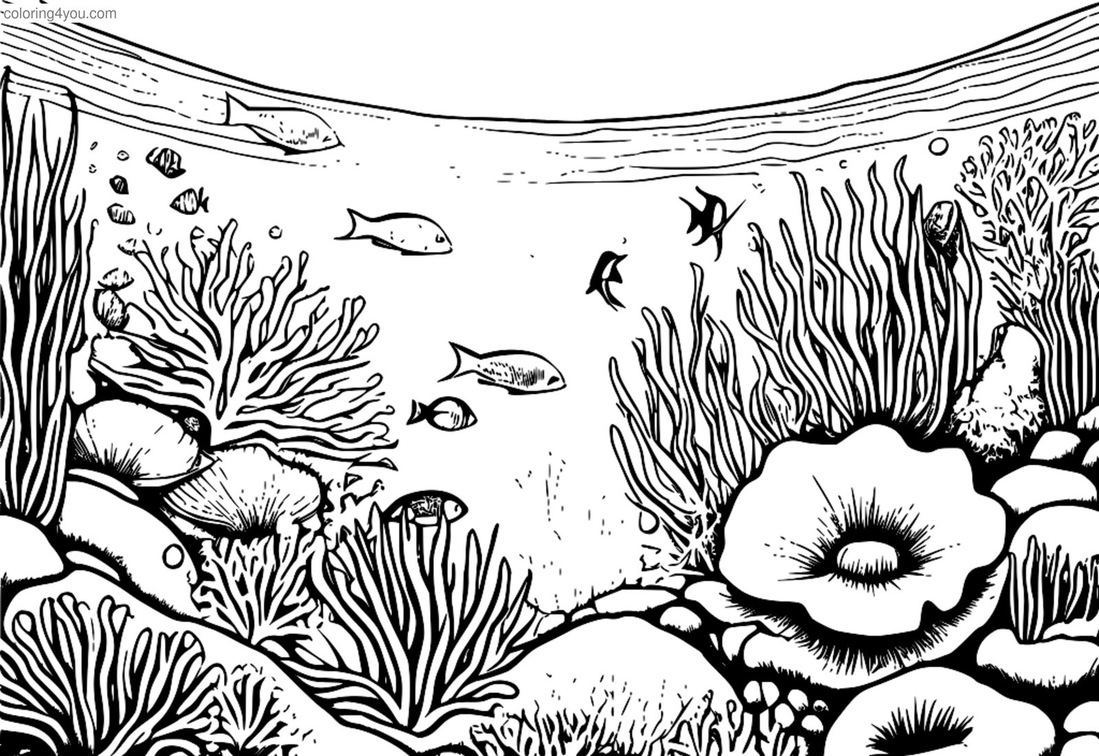 coloriage du récif de corail. coloriage du récif de corail.