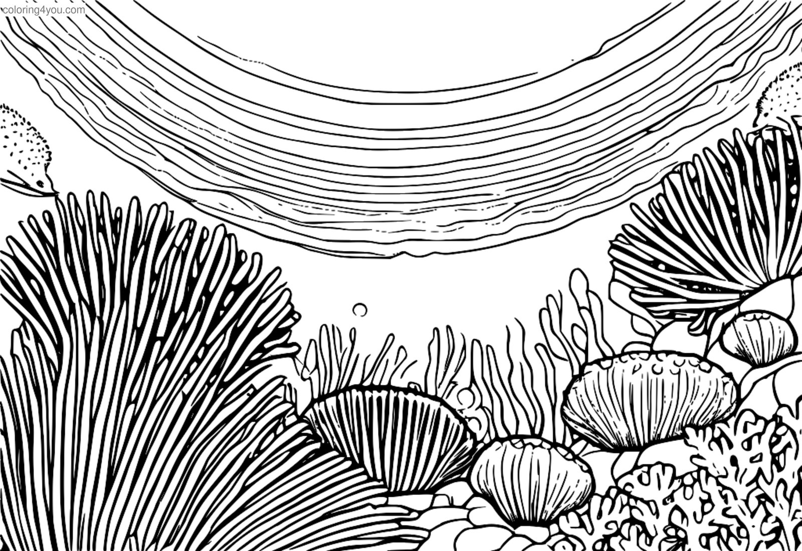 Coloriage - Oursin des récifs coralliens Coloriage - Oursin des récifs coralliens