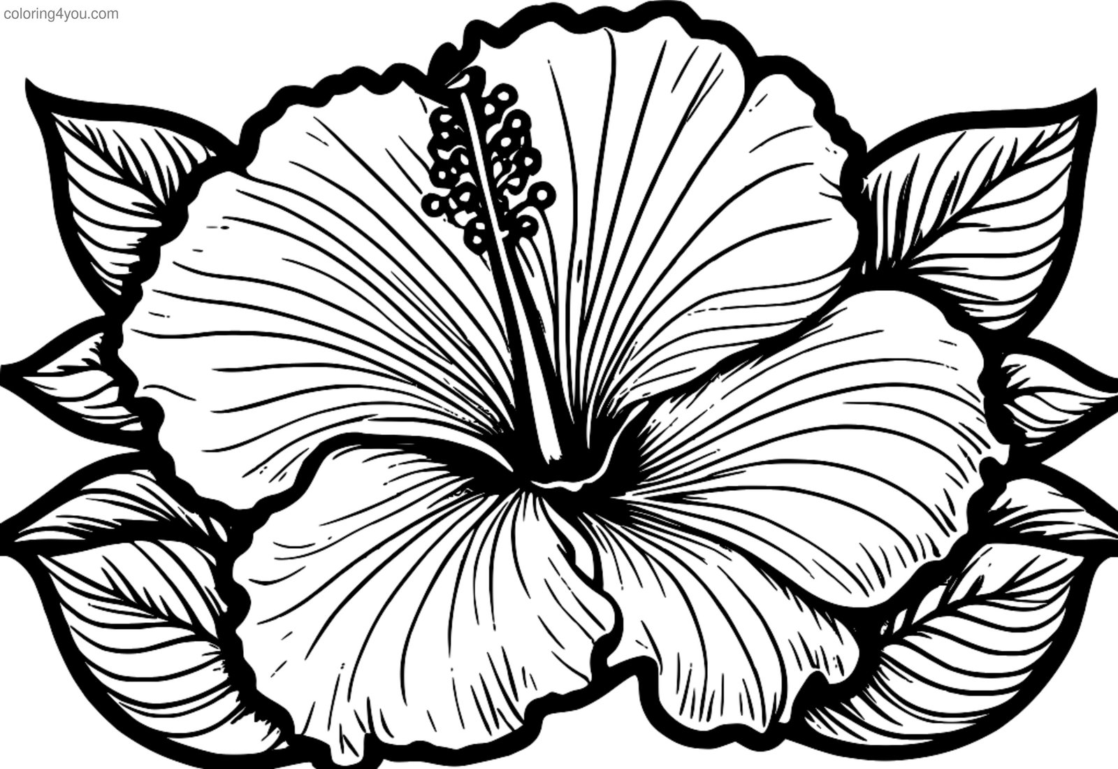 O floare clasică de hibiscus albă, înconjurată de un model tradițional vichy, perfectă pentru colorare. O floare clasică de hibiscus albă, înconjurată de un model tradițional vichy, perfectă pentru colorare.
